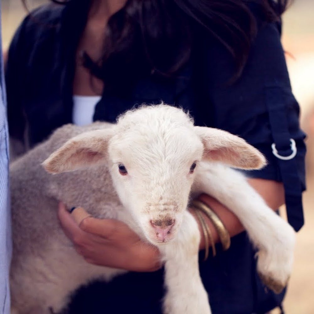 Meet your Posher, Veronica